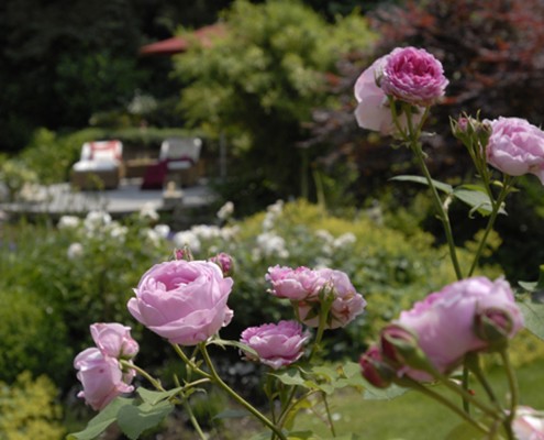 Geniesser-Gartengestaltung