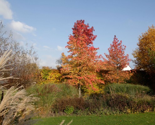 Herbst-Garten