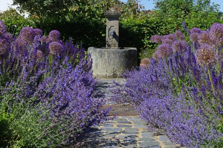 Gartentrends › Herrhammer – Gärtner von Eden