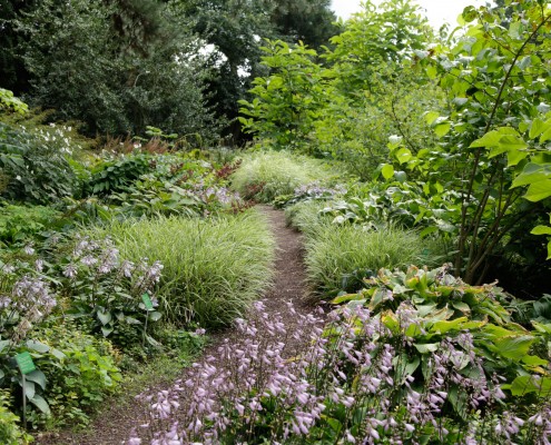 Naturgarten-Ansicht