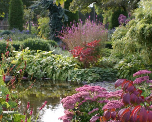 Stauden-im- garten