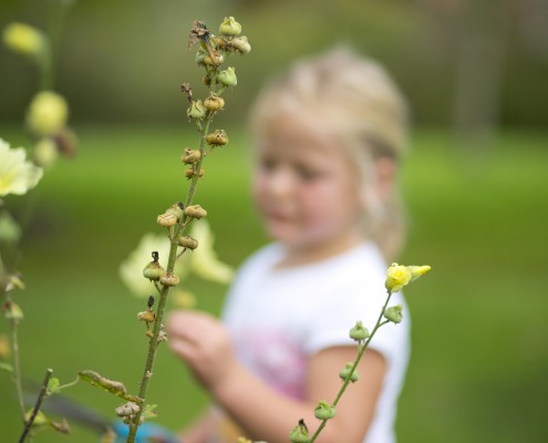 Kind-im-Garten